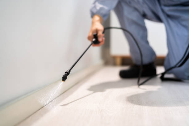 Licensed Rodent Control service in Camino Tassajara, CA - Nex Pest Control