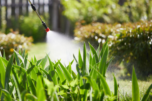 24/7 Emergency Rodent Control experts in Camino Tassajara, CA