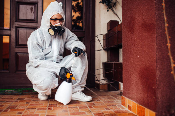 Reliable Rodent Control contractor in Camino Tassajara, CA by Nex Pest Control