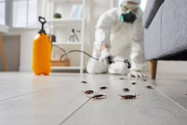 Trusted Fumigation Services service in Camino Tassajara, CA - Nex Pest Control