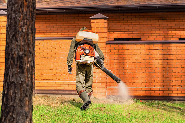 Trusted Emergency Pest Control service in Camino Tassajara, CA - Nex Pest Control